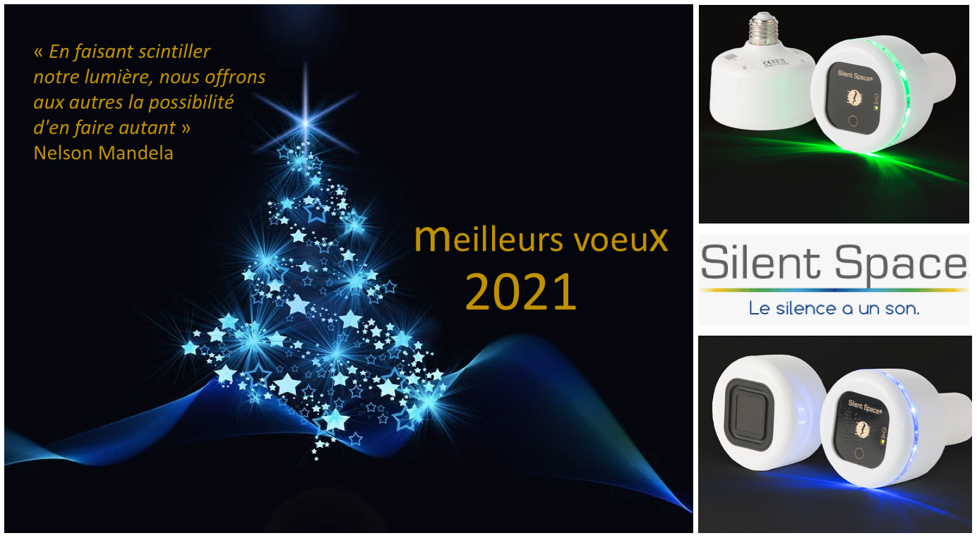 Meilleurs voeux 2021